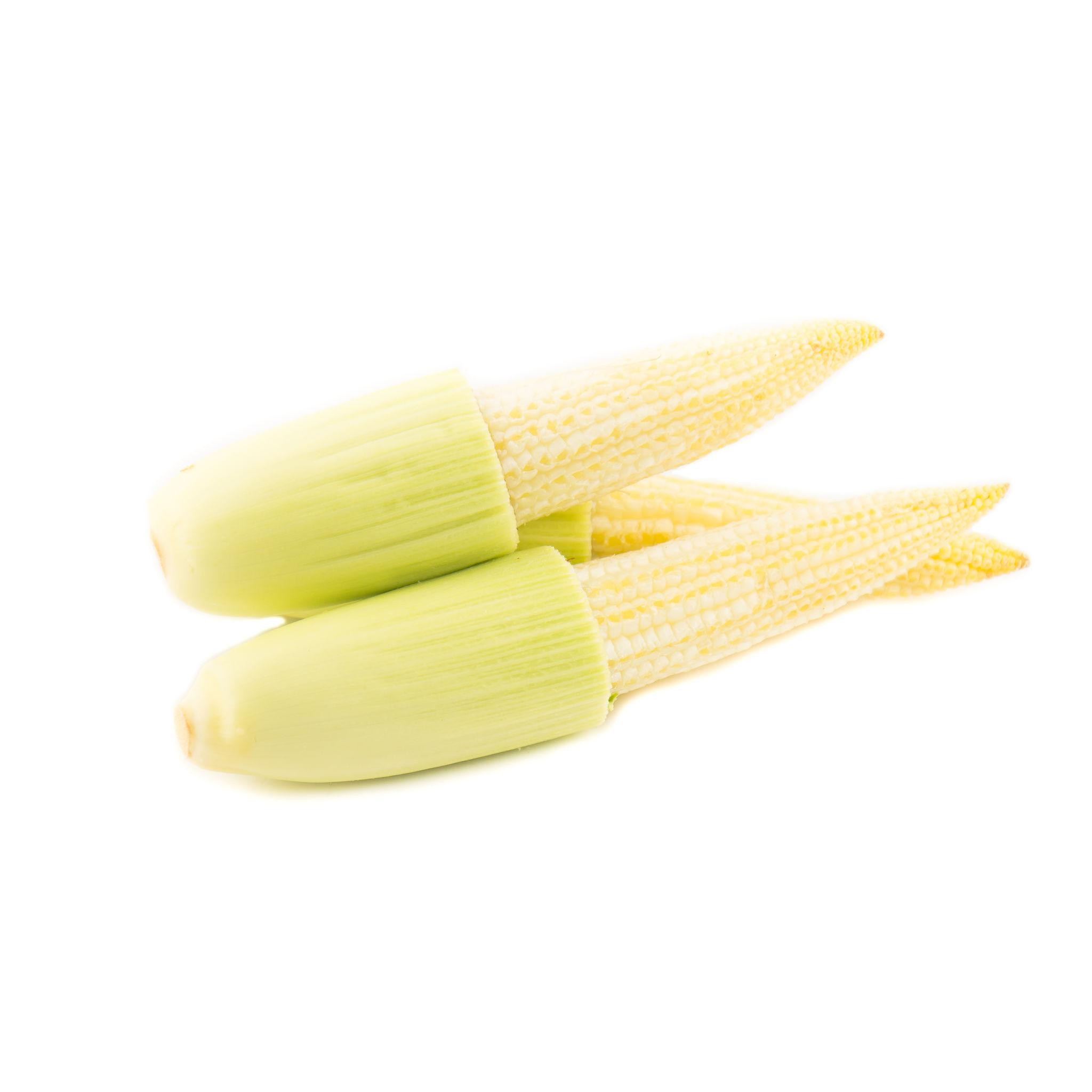 Premium Sweet Corn Seeds V2