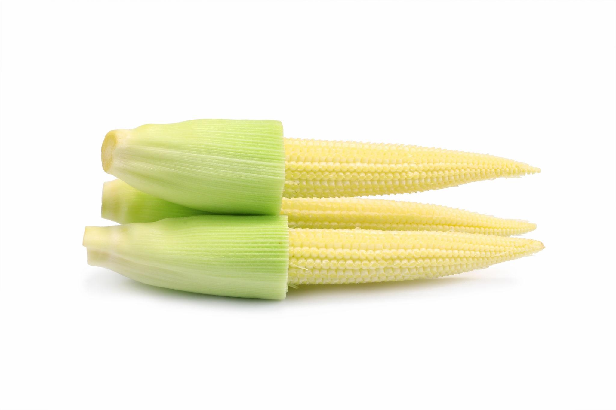 Premium Sweet Corn Seeds V2