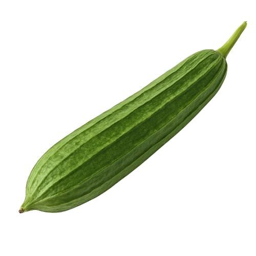 Premium Ridge Gourd Seeds V2