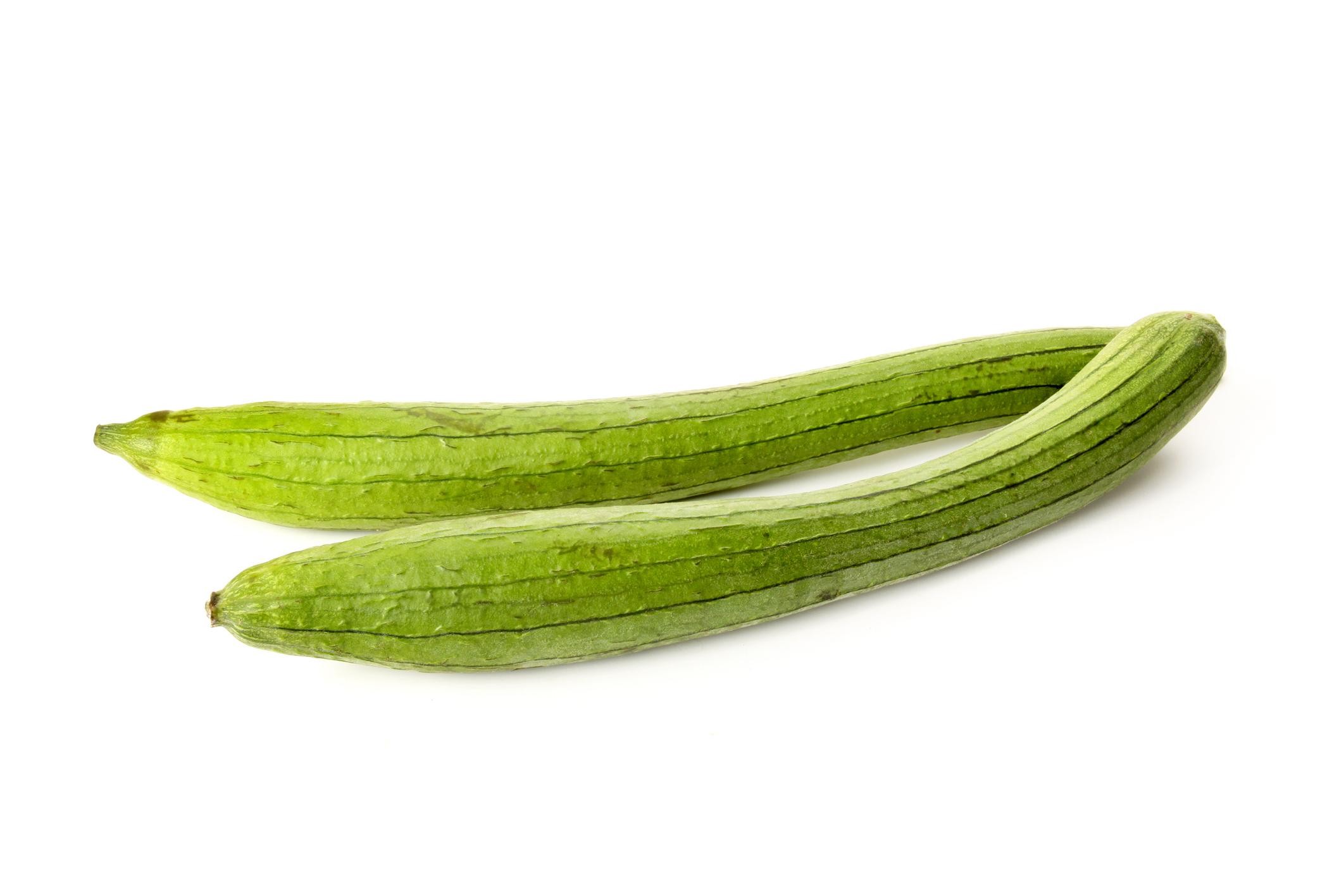 Premium Ridge Gourd Seeds V2