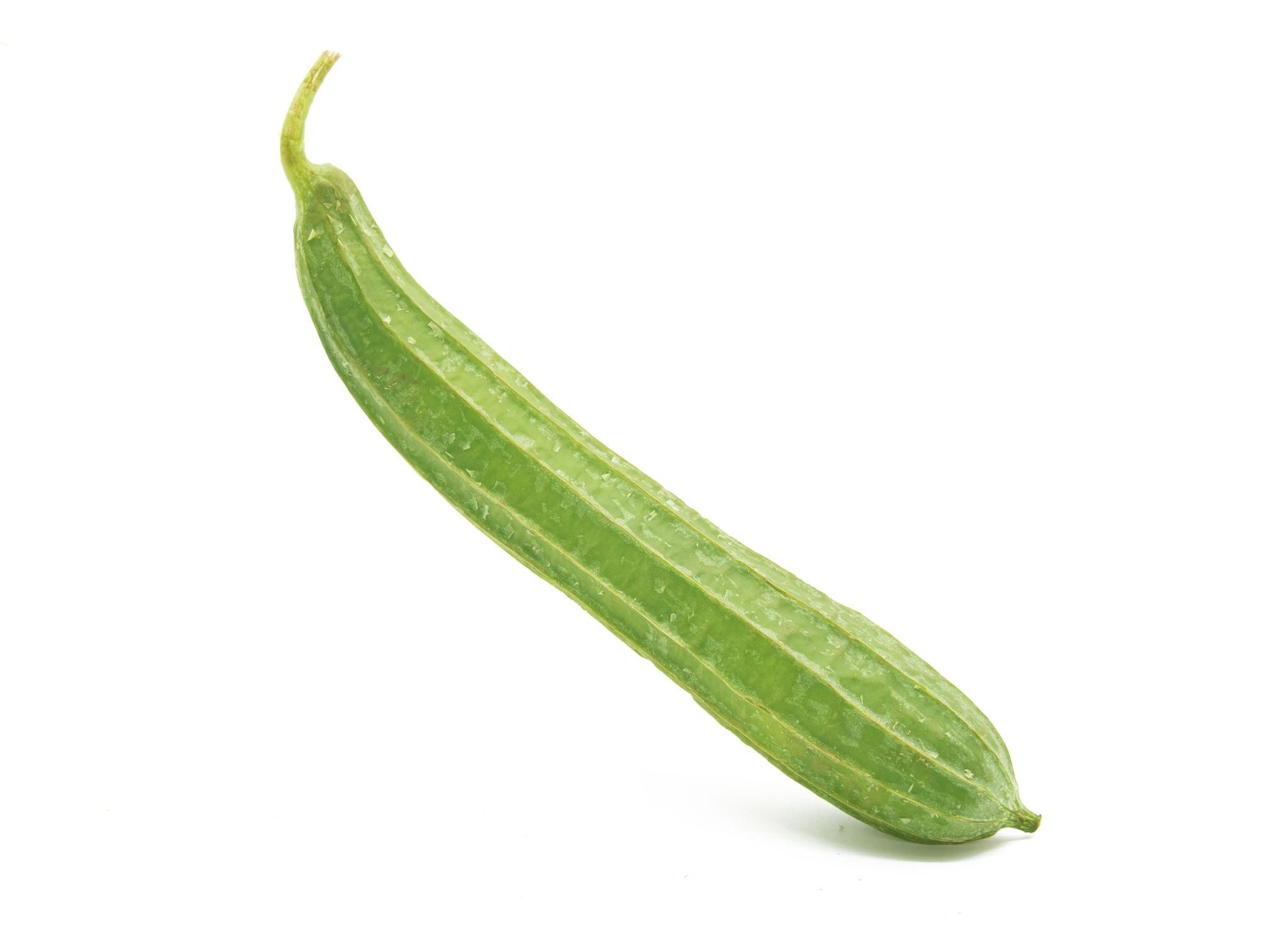 Premium Ridge Gourd Seeds V2