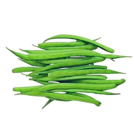 Premium Bean Seeds V3