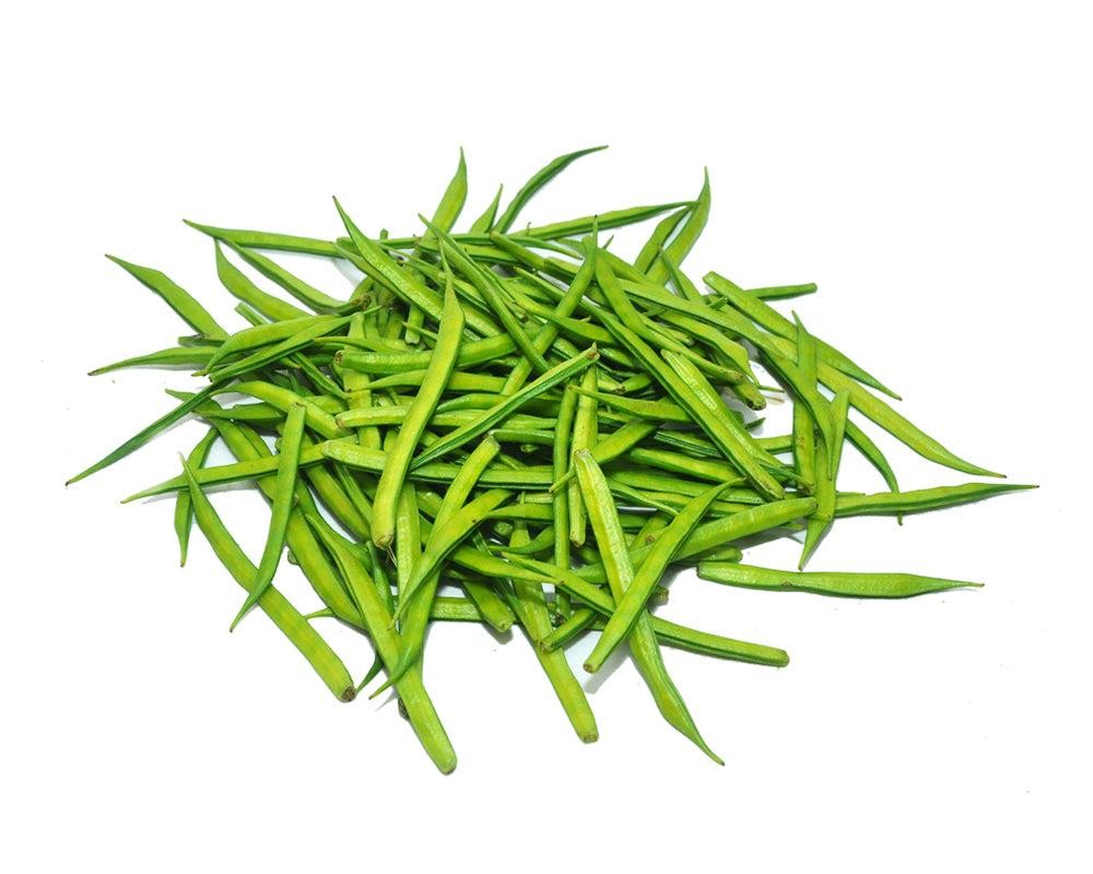 Premium Bean Seeds V3