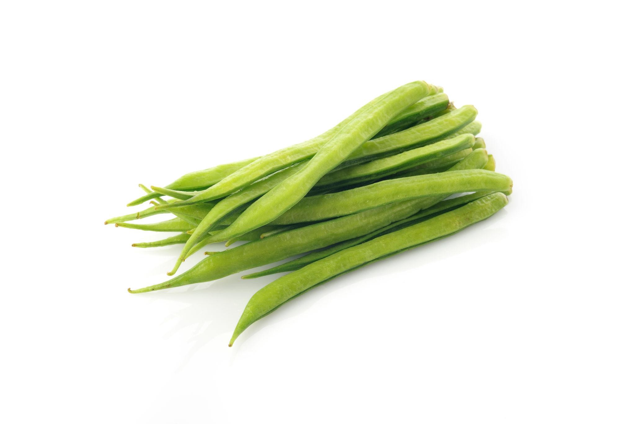 Premium Bean Seeds V3