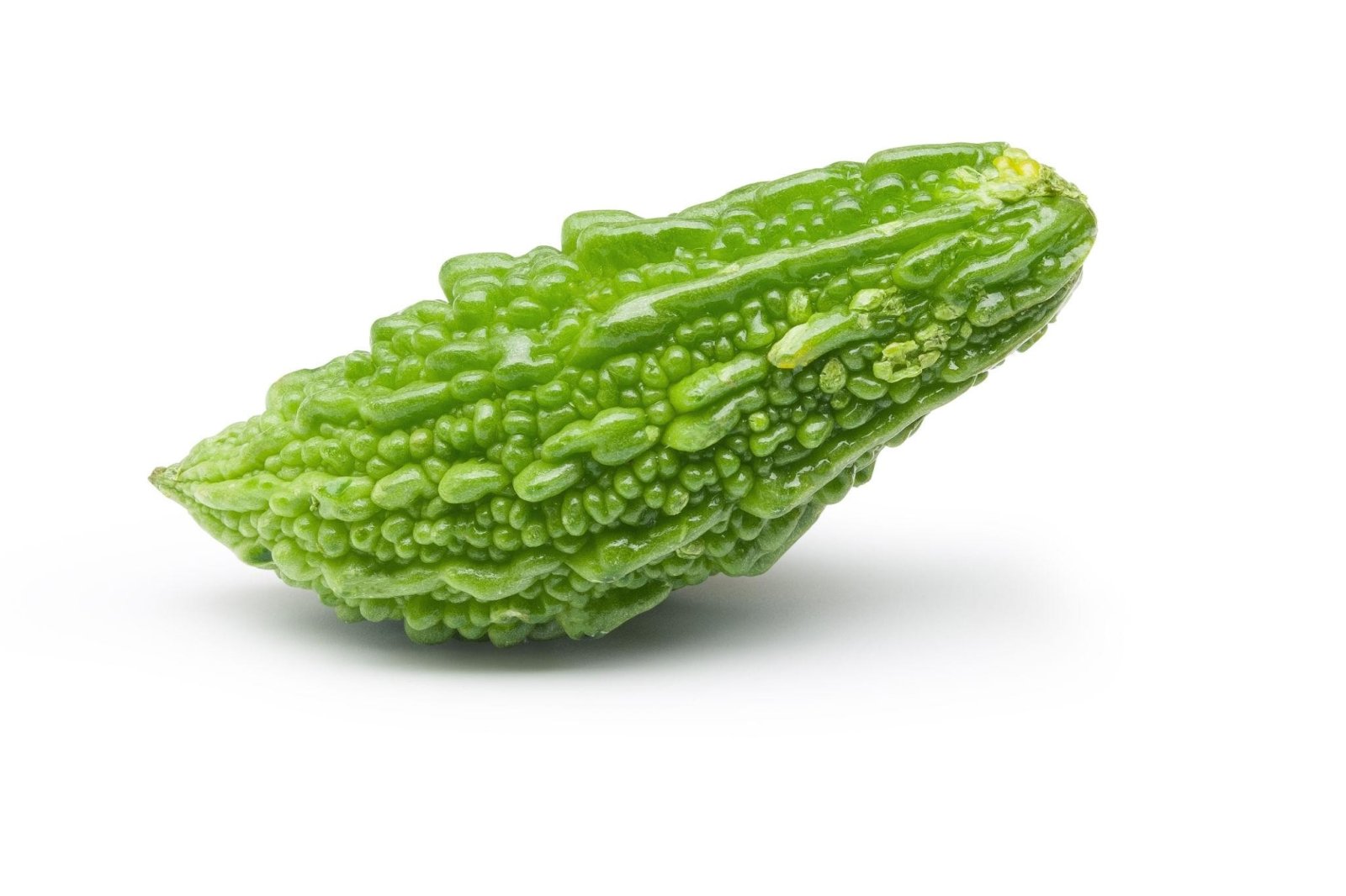 Premium Bitter Gourd -2 Seeds V2