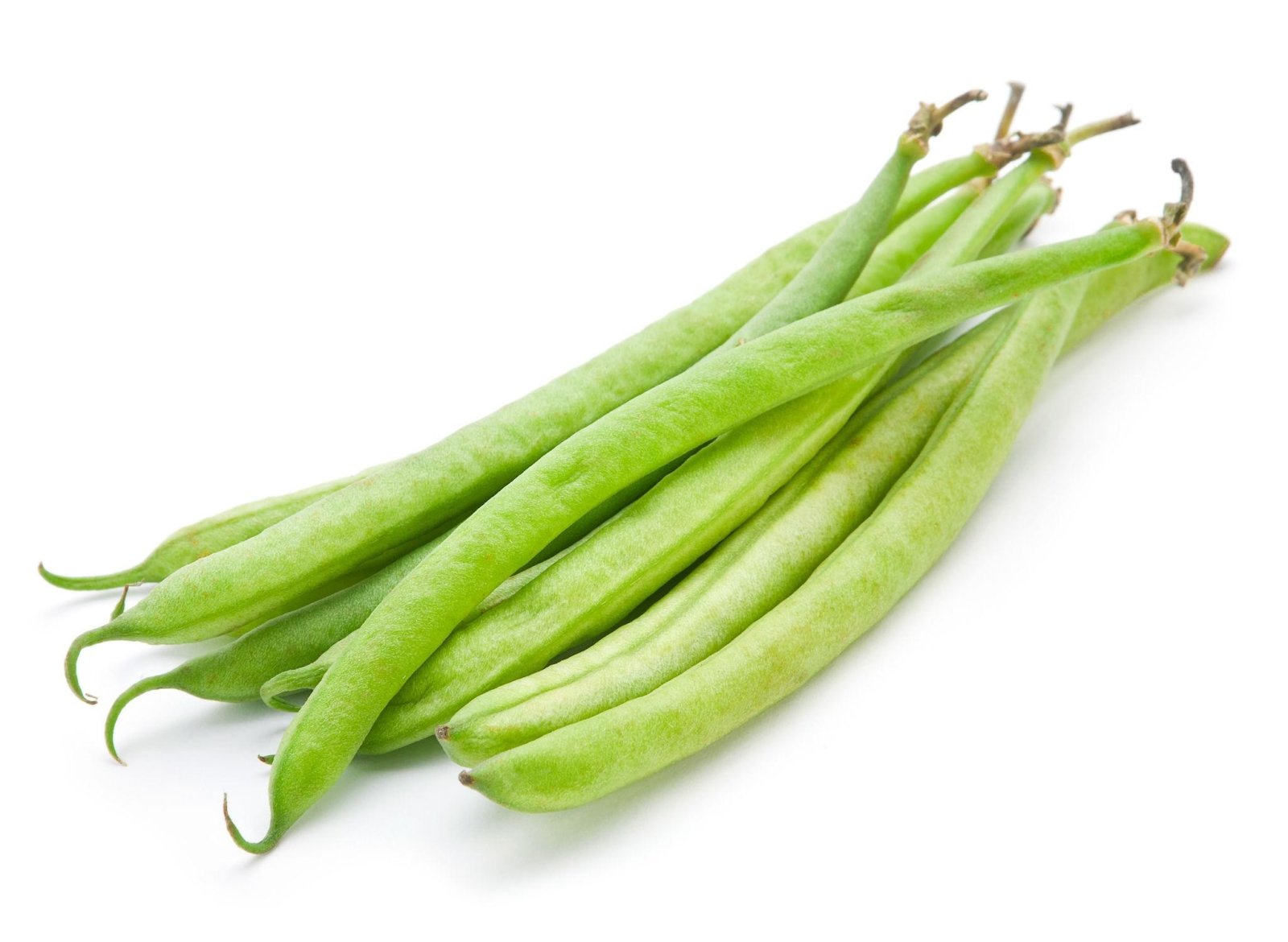Premium Bean Seeds V2