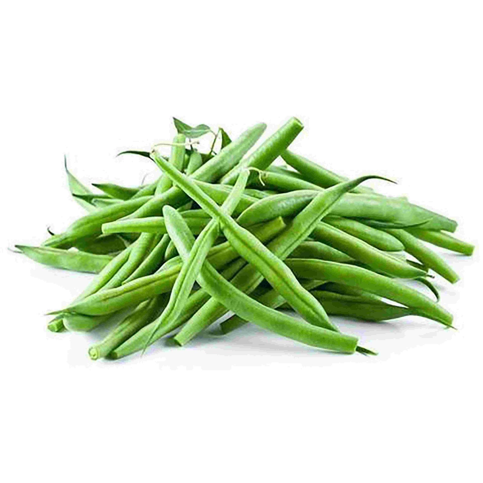 Premium Bean Seeds V1