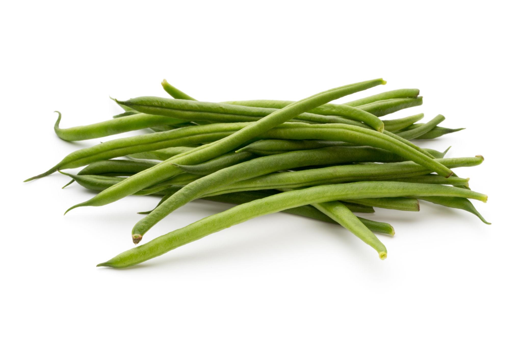 Premium Bean Seeds V1
