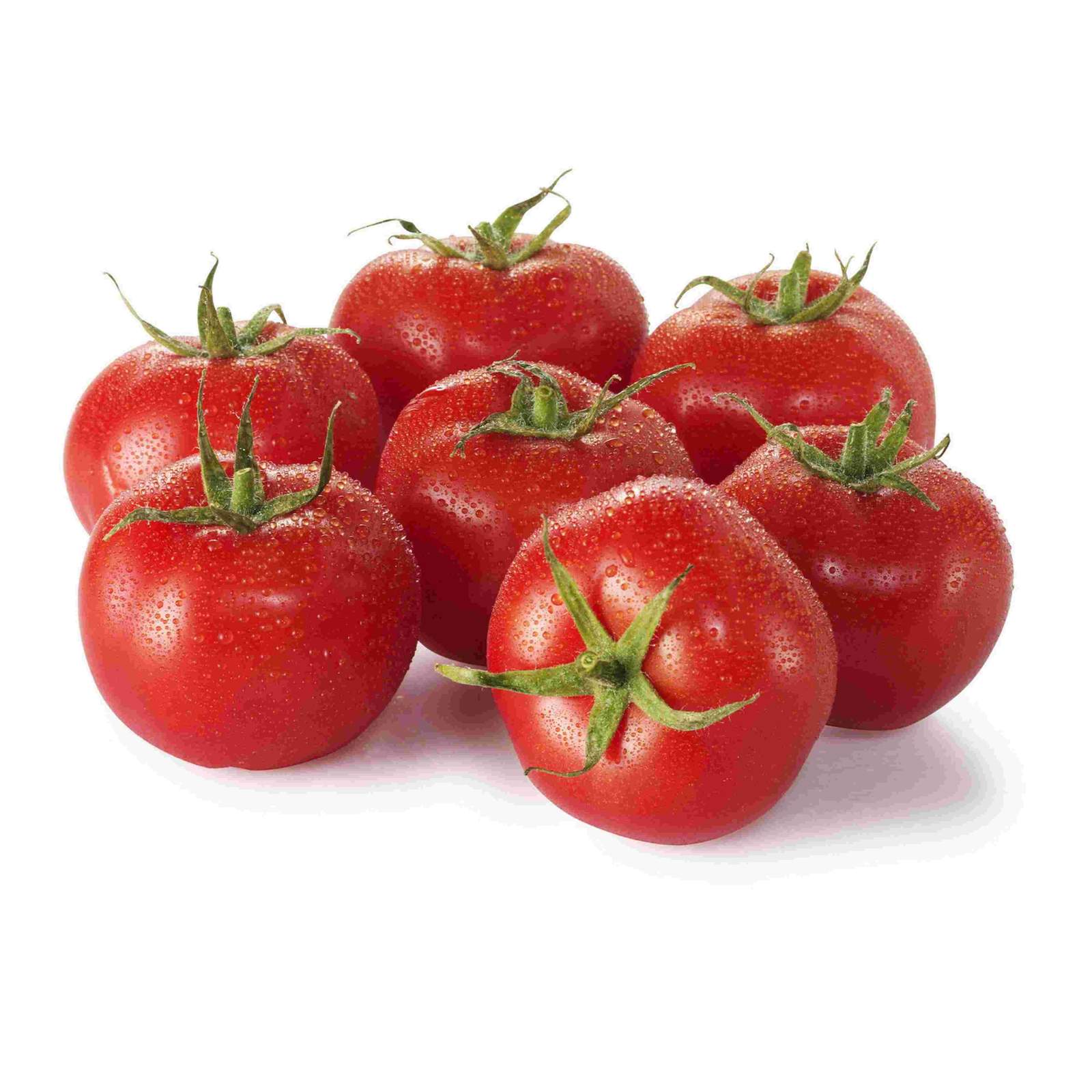 Premium Tomato Seeds V3