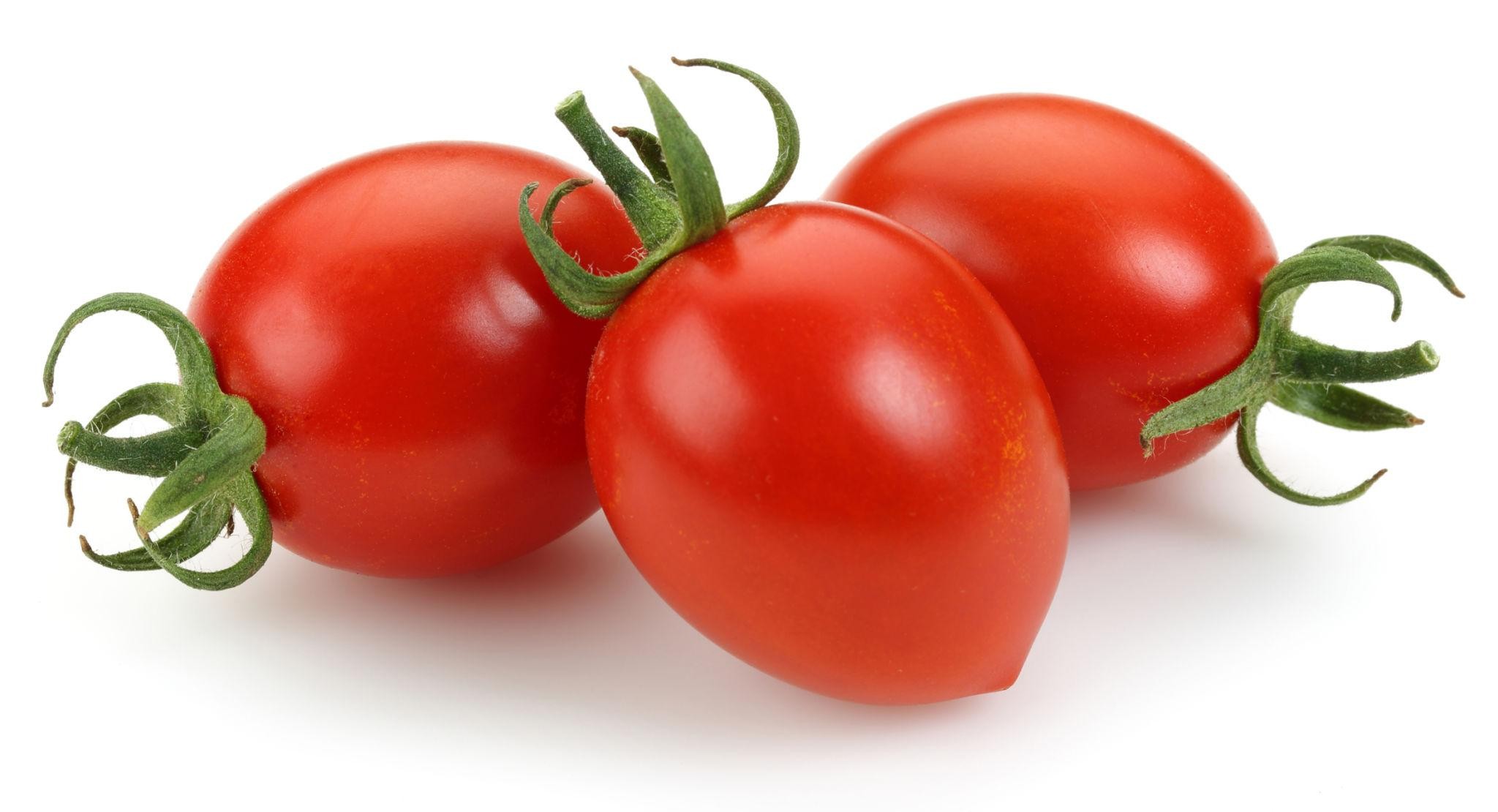 Premium Tomato Seeds V2