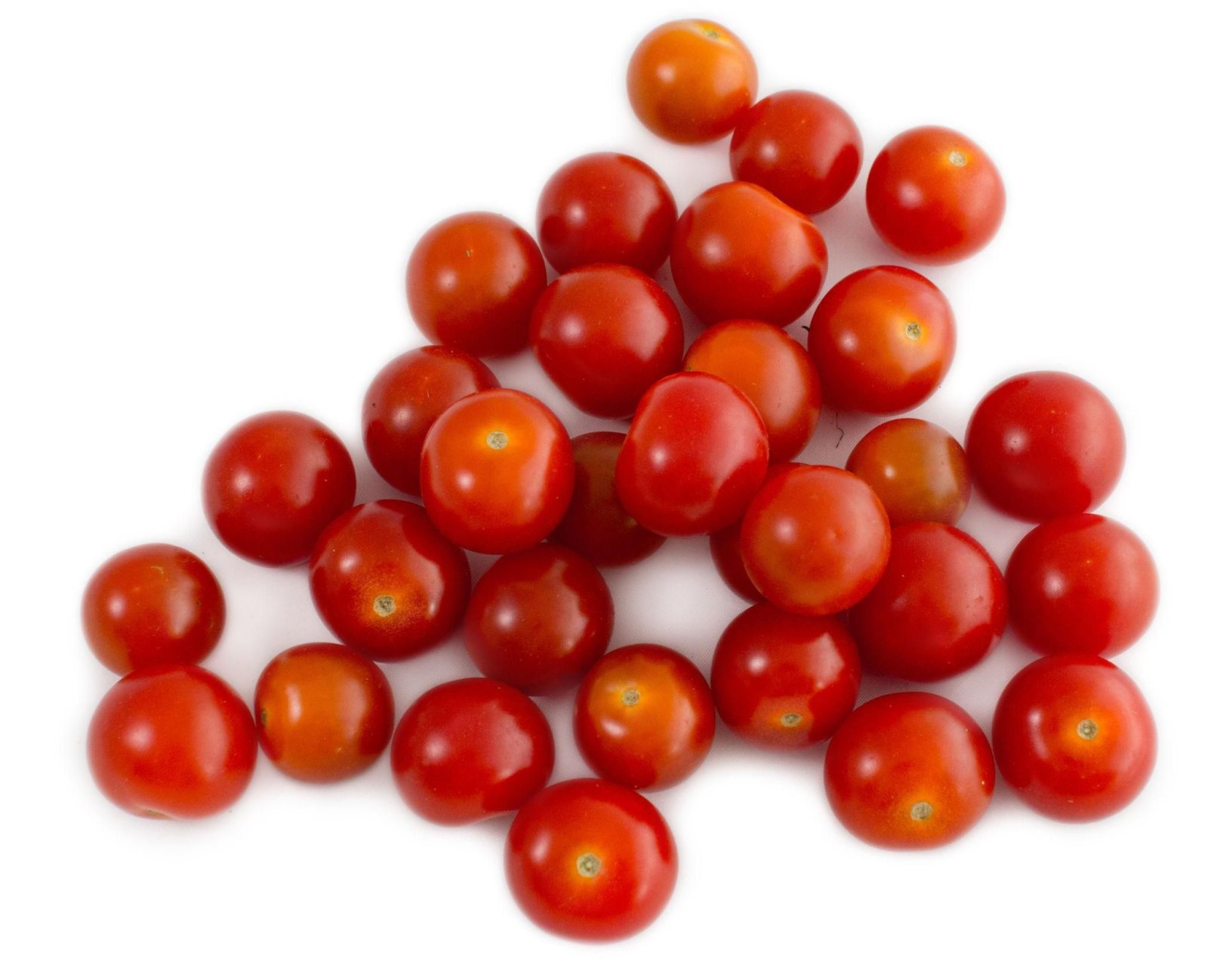 Premium Tomato Seeds V1