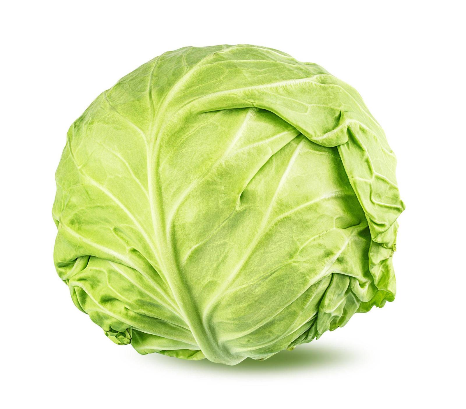 Premium Cabbage Seeds V1